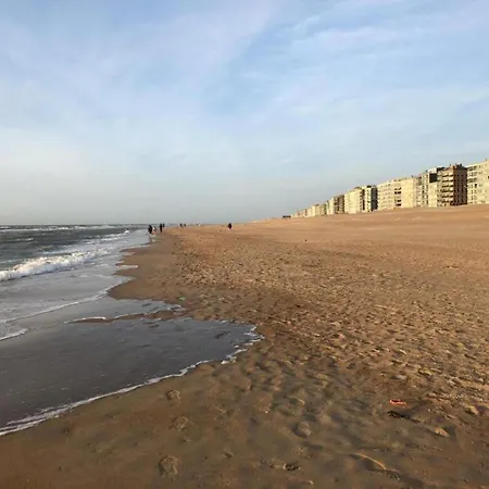 Winoc 402 With Sea View In דירה קוקסיידה